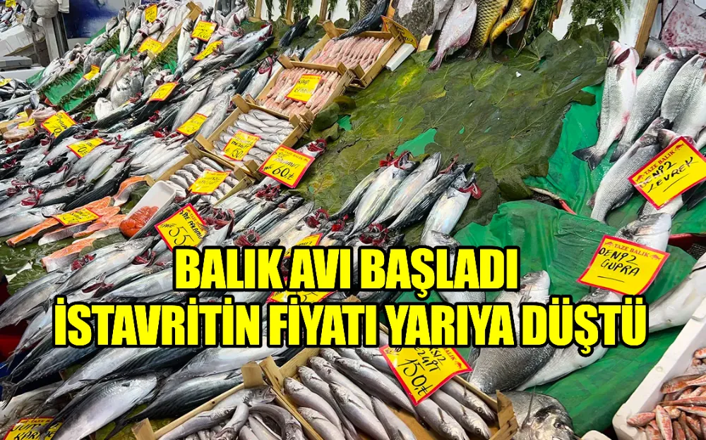 BALIK AVI BAŞLADI, İSTAVRİTİN FİYATI YARIYA DÜŞTÜ