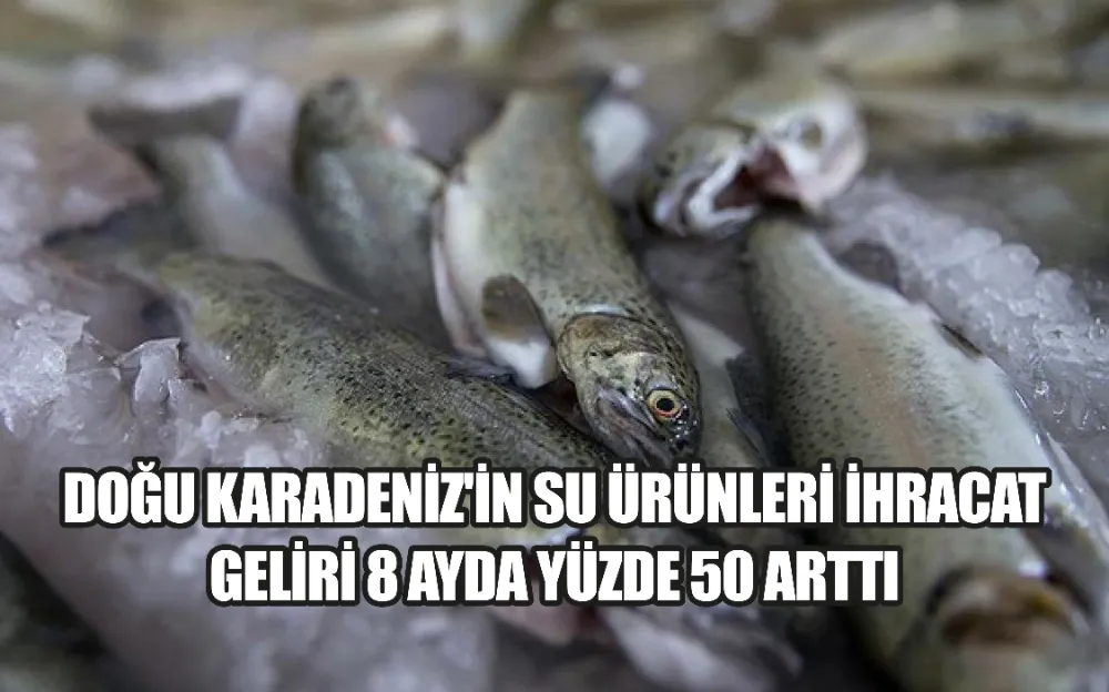 DOĞU KARADENİZ