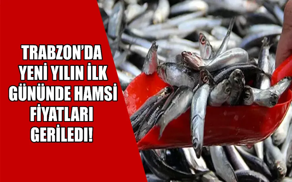 Trabzon’da yeni yılın ilk gününde hamsi fiyatları geriledi!