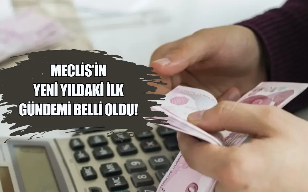 MECLİS’İN YENİ YILDAKİ İLK GÜNDEMİ BELLİ OLDU! 