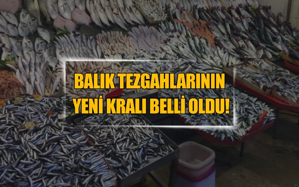 BALIK TEZGAHLARININ YENİ KRALI BELLİ OLDU!