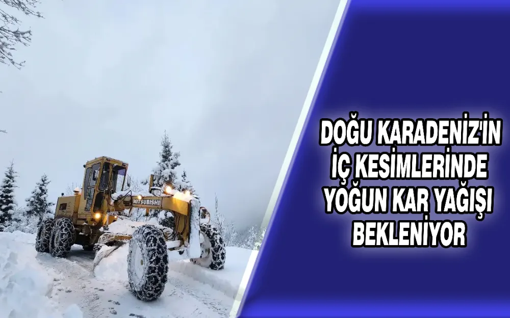 DOĞU KARADENİZ