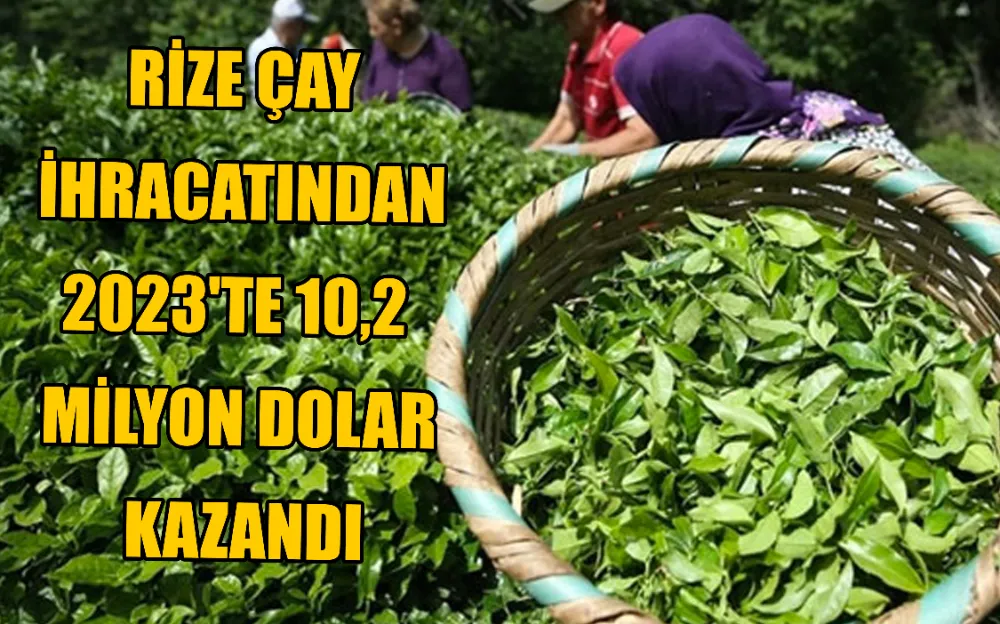 RİZE ÇAY İHRACATINDAN 2023