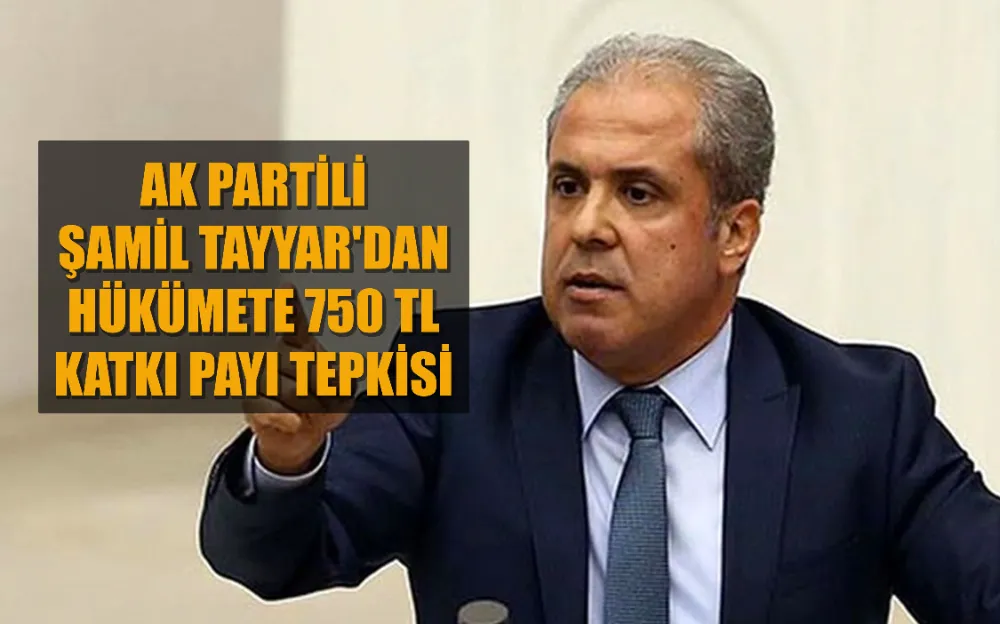 AK Partili Şamil Tayyar