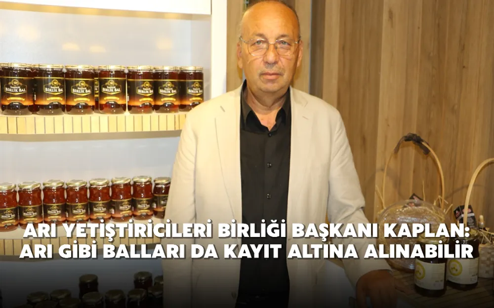 Arı Yetiştiricileri Birliği Başkanı Kaplan: Arı gibi balları da kayıt altına alınabilir