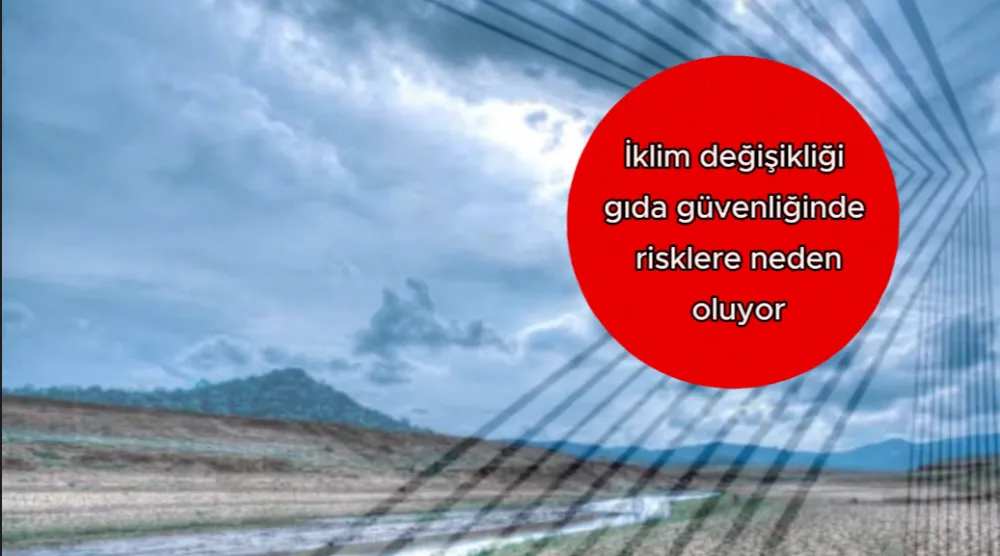 İklim değişikliği gıda güvenliğinde risklere neden oluyor