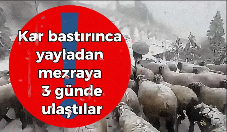 Kar bastırınca yayladan mezraya 3 günde ulaştılar