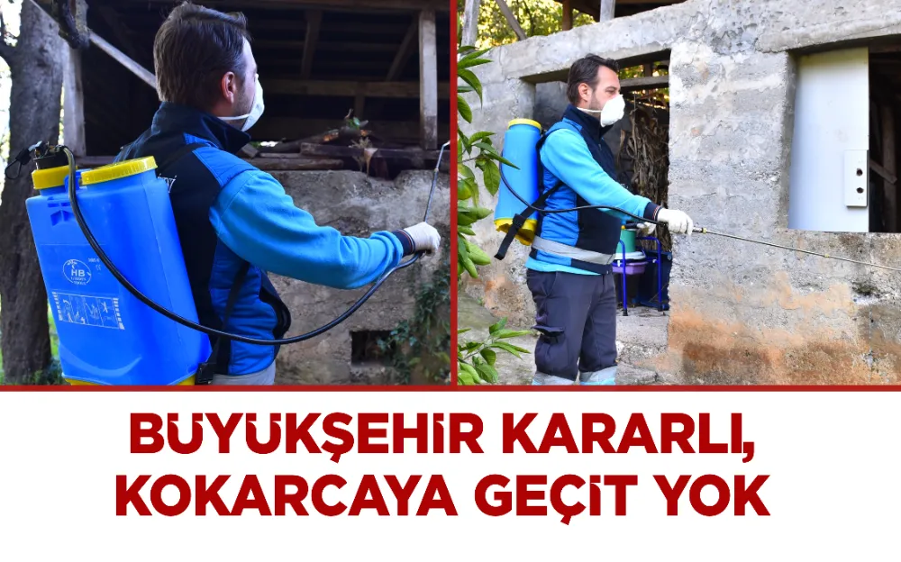 BÜYÜKŞEHİR KARARLI, KOKARCAYA GEÇİT YOK