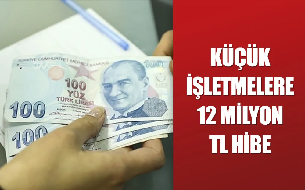 Açıklama yapıldı: Küçük işletmelere 12 milyon TL hibe