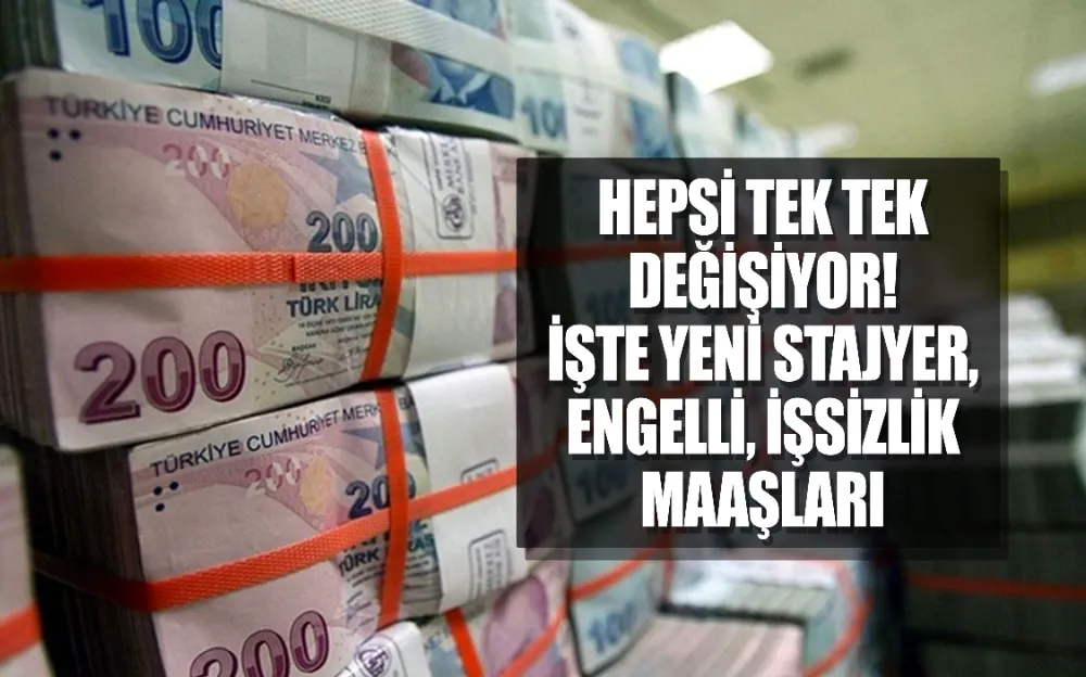 Hepsi tek tek değişiyor! İşte yeni stajyer, engelli, işsizlik maaşları