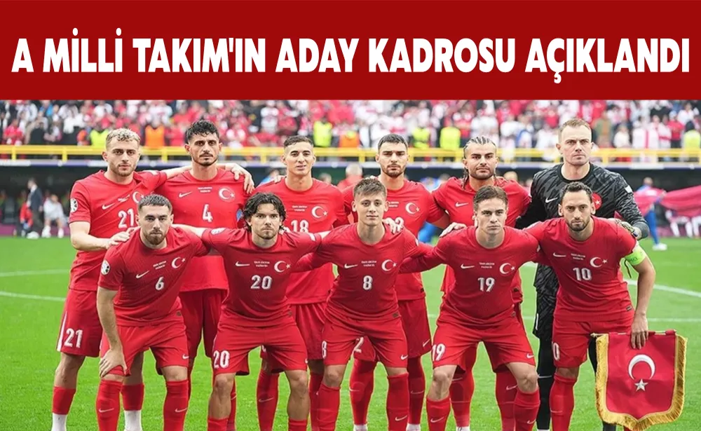 A Milli Takım