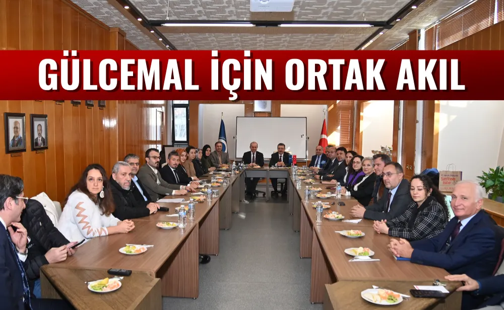 GÜLCEMAL İÇİN ORTAK AKIL