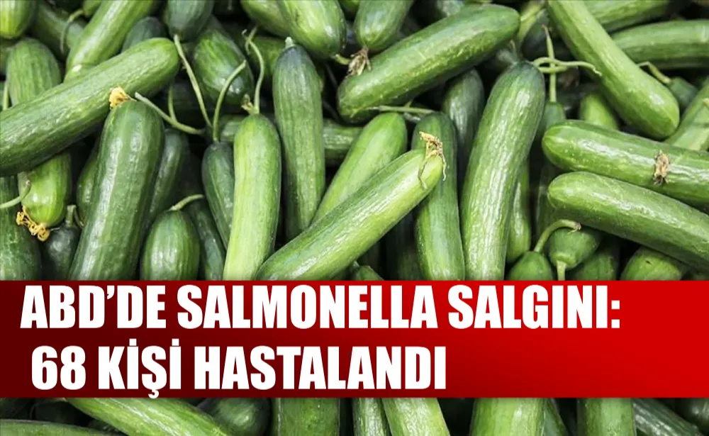 ABD’de salmonella salgını: 68 kişi hastalandı