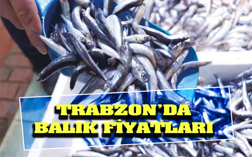 TRABZON’DA BALIK FİYATLARI!