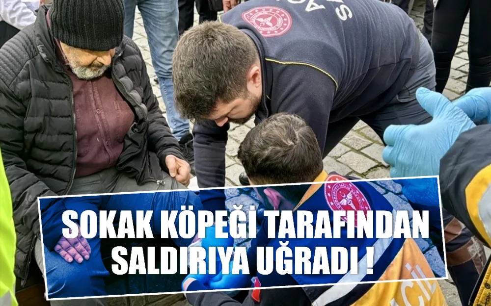 SOKAK KÖPEĞİ TARAFINDAN SALDIRIYA UĞRADI !