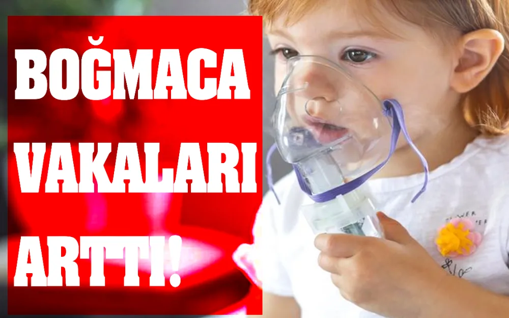 BOĞMACA VAKALARI ARTTI!