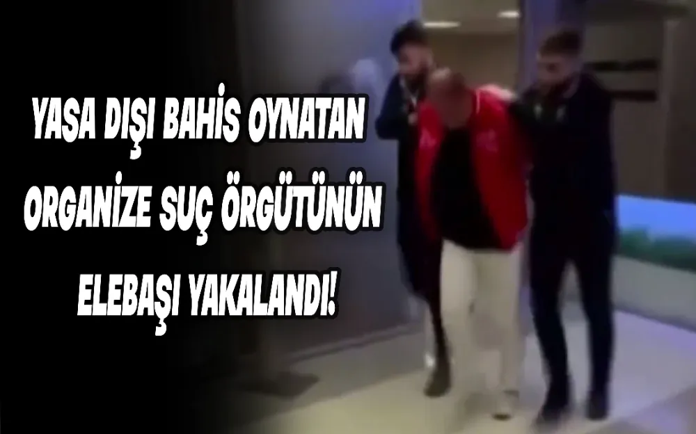 YASA DIŞI BAHİS OYNATAN ORGANİZE SUÇ ÖRGÜTÜNÜN ELEBAŞI YAKALANDI!