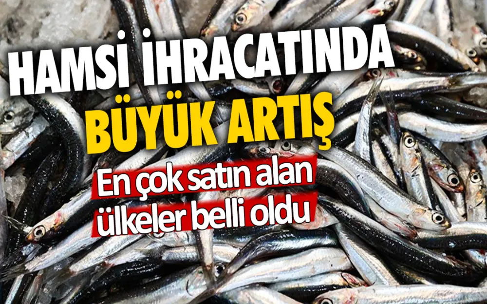 HAMSİ İHRACATINDA BÜYÜK ARTIŞ