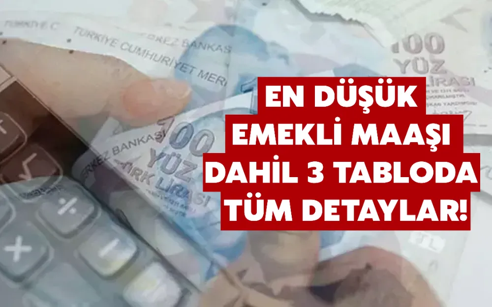 EN DÜŞÜK  EMEKLİ MAAŞI  DAHİL 3 TABLODA  TÜM DETAYLAR!