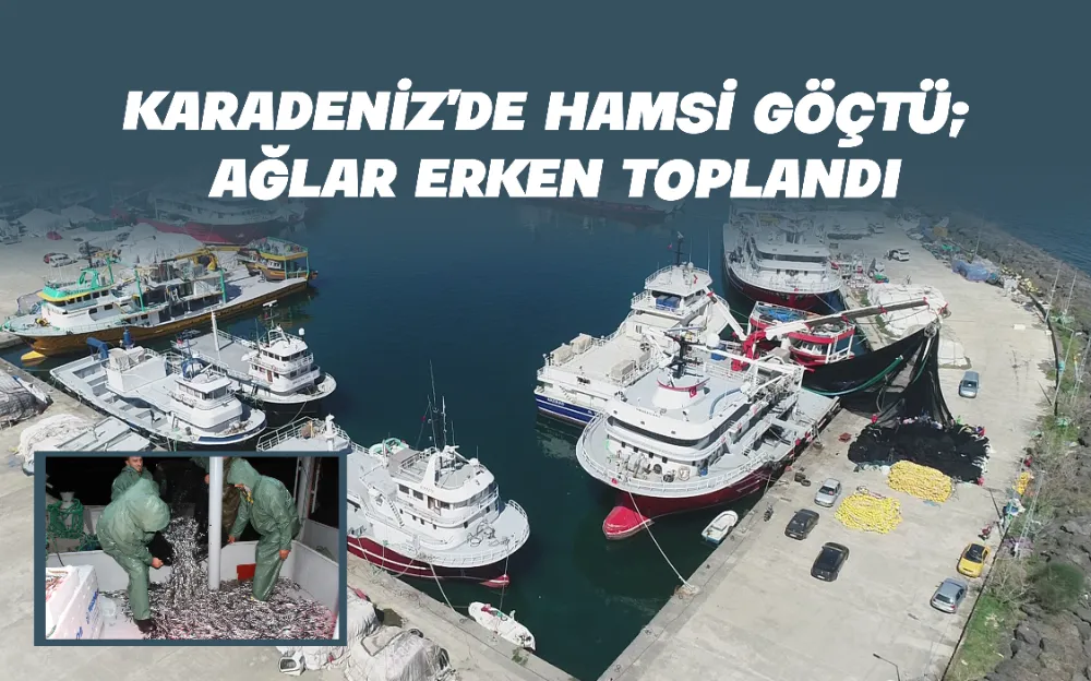 TRABZON KARADENİZ’DE HAMSİ GÖÇTÜ; AĞLAR ERKEN TOPLANDI