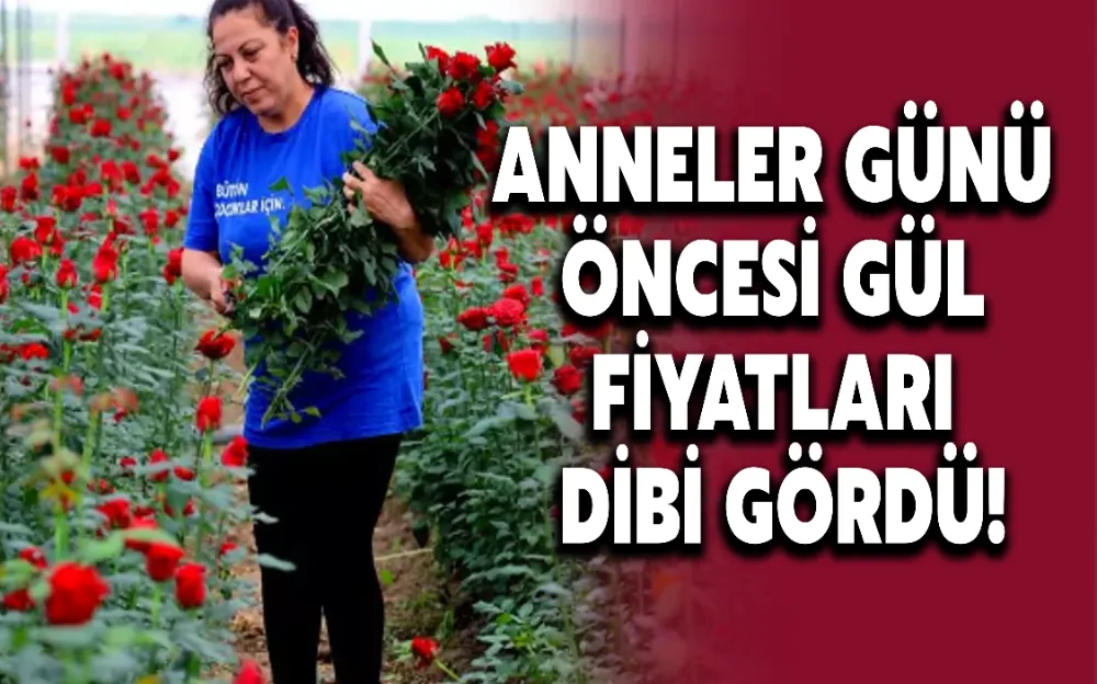 ANNELER GÜNÜ ÖNCESİ GÜL FİYATLARI DİBİ GÖRDÜ!