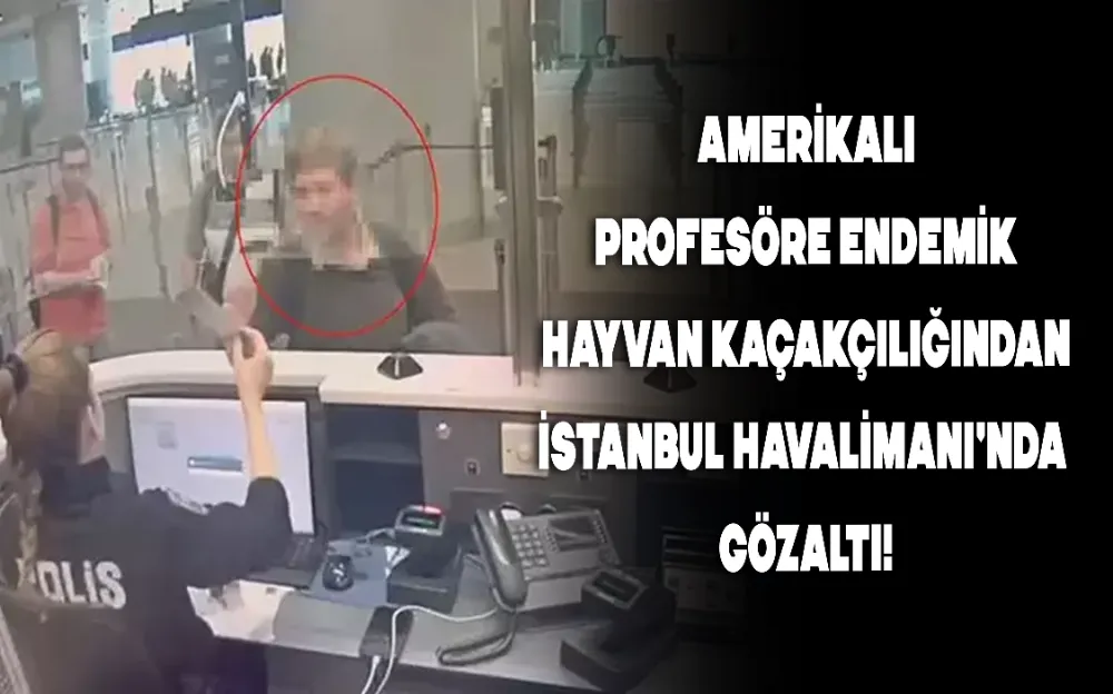 Amerikalı Profesöre endemik hayvan kaçakçılığından İstanbul Havalimanı