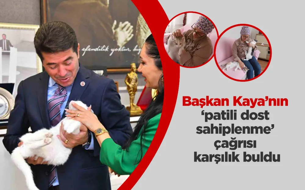 Başkan Kaya’nın ‘patili dost sahiplenme’ çağrısı karşılık buldu