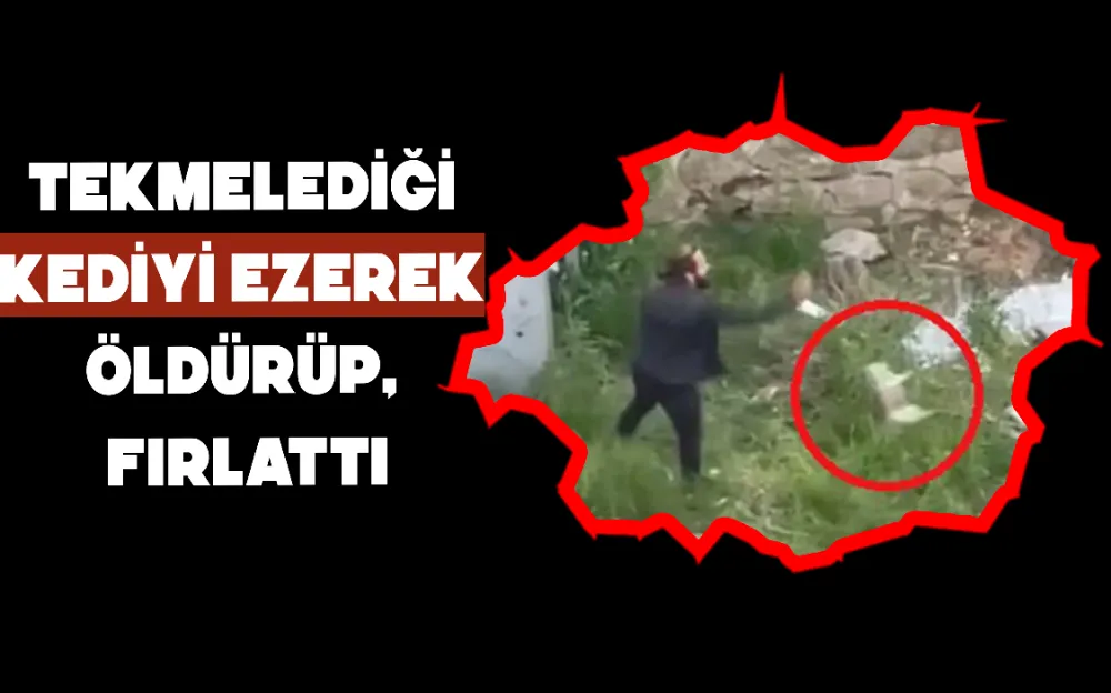 TEKMELEDİĞİ KEDİYİ EZEREK ÖLDÜRÜP, FIRLATTI!