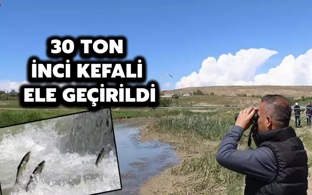 30 TON İNCİ KEFALİ ELE GEÇİRİLDİ!