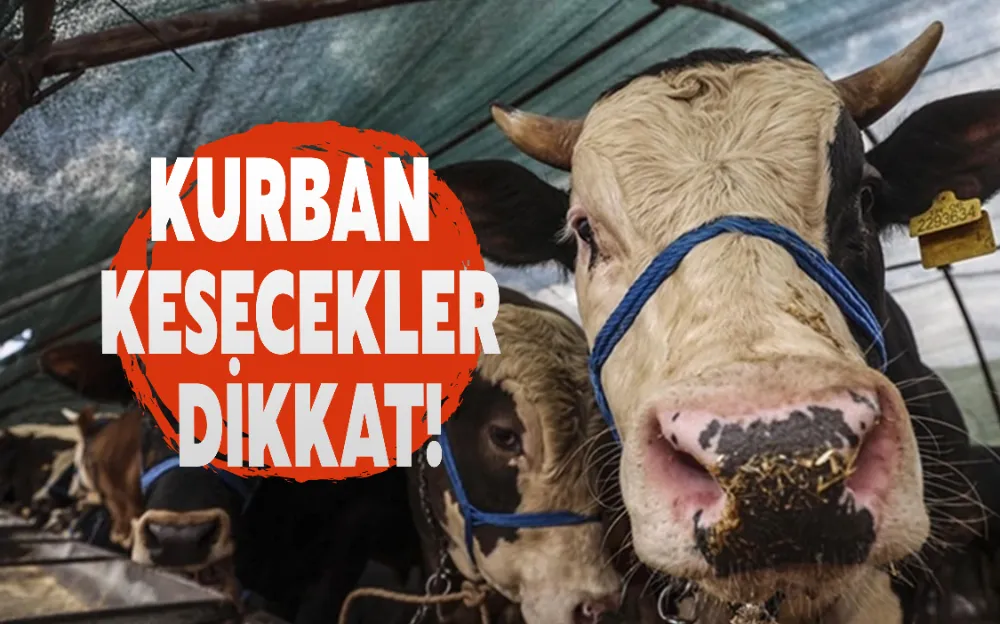 KURBAN KESECEKLER DİKKAT!