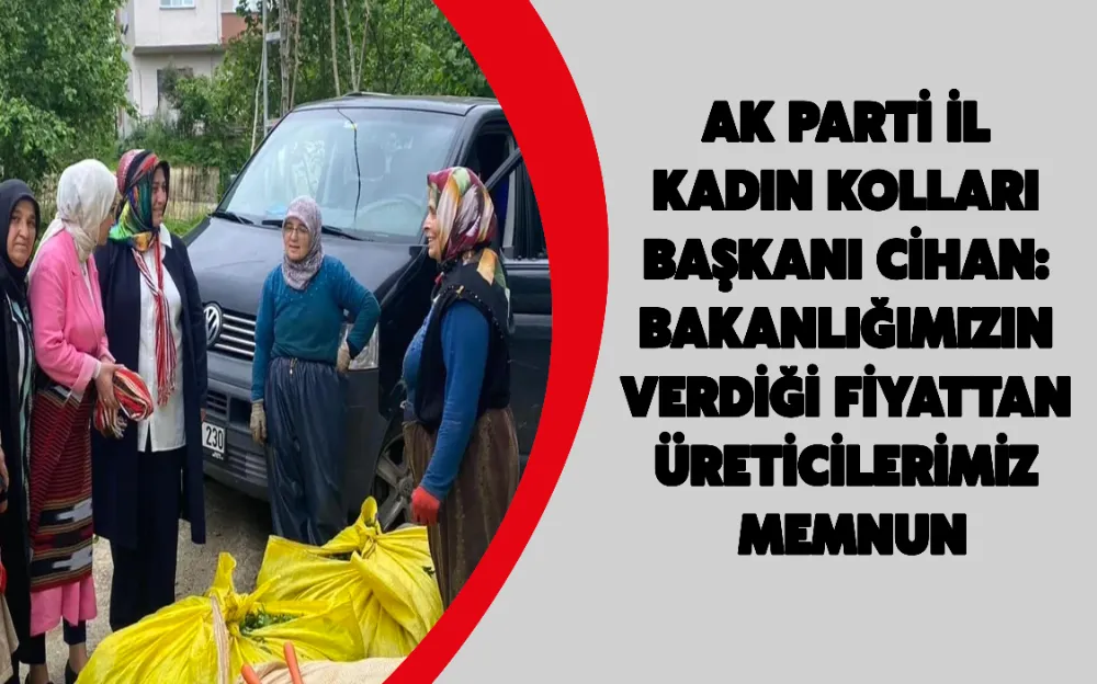 AK PARTİ İL KADIN KOLLARI BAŞKANI CİHAN: BAKANLIĞIMIZIN VERDİĞİ FİYATTAN ÜRETİCİLERİMİZ MEMNUN!