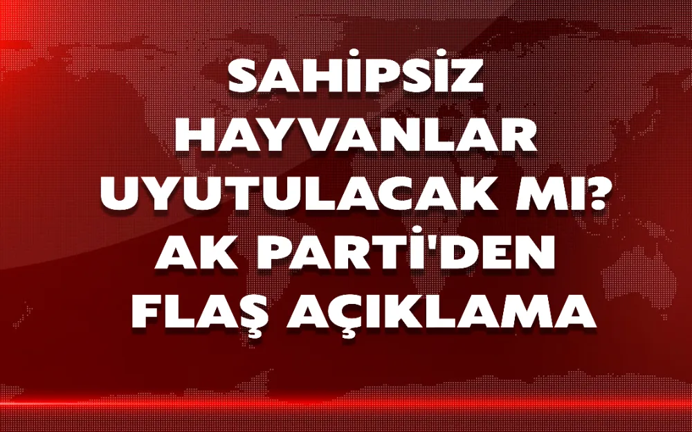 SAHİPSİZ HAYVANLAR UYUTULACAK MI? AK PARTİ