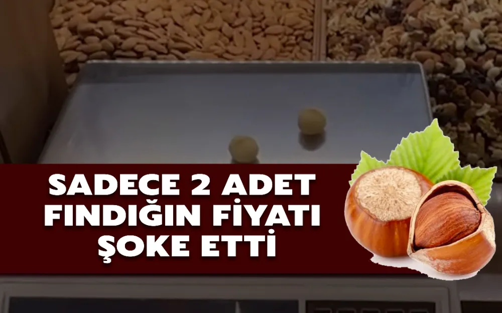 SADECE 2 ADET FINDIĞIN FİYATI ŞOKE ETTİ