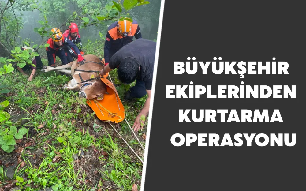 BÜYÜKŞEHİR EKİPLERİNDEN KURTARMA OPERASYONU