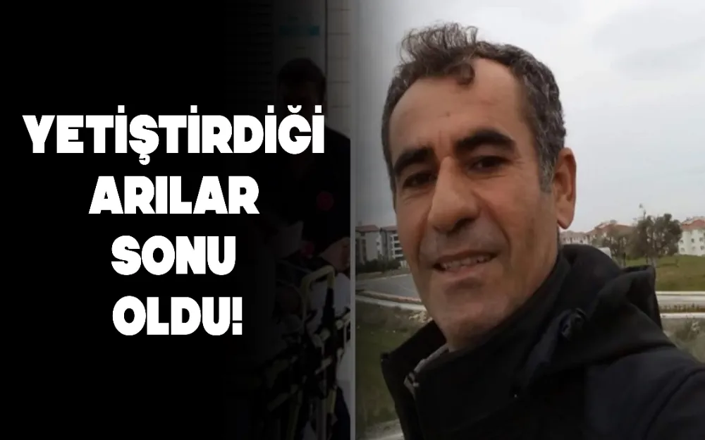 Yetiştirdiği arılar sonu oldu! Bal üreticisi feci şekilde can verdi