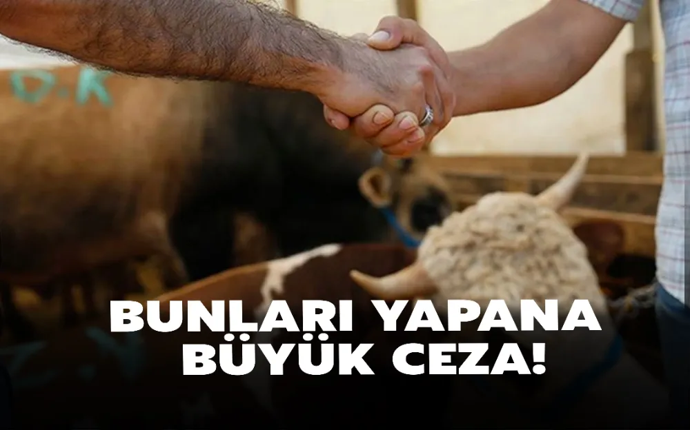 BUNLARI YAPANA  BÜYÜK CEZA!