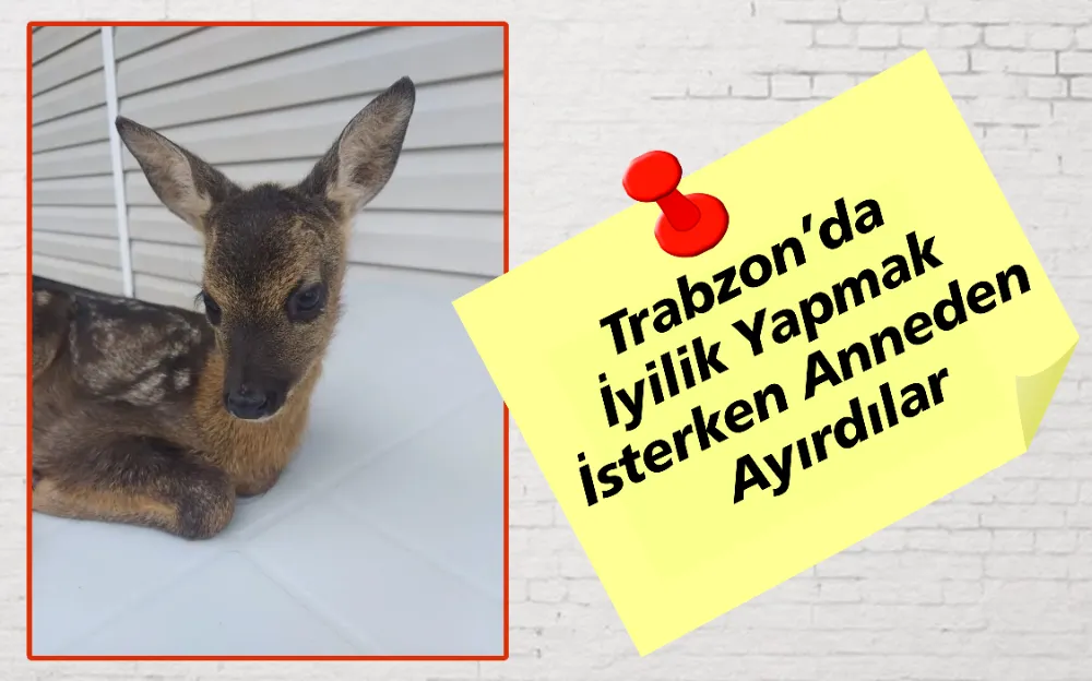 TRABZON’DA İYİLİK YAPMAK İSTERKEN ANNEDEN AYIRDILAR