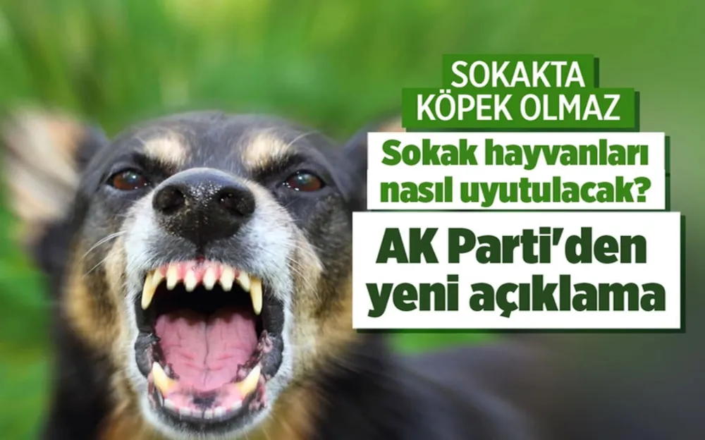 AK PARTİ