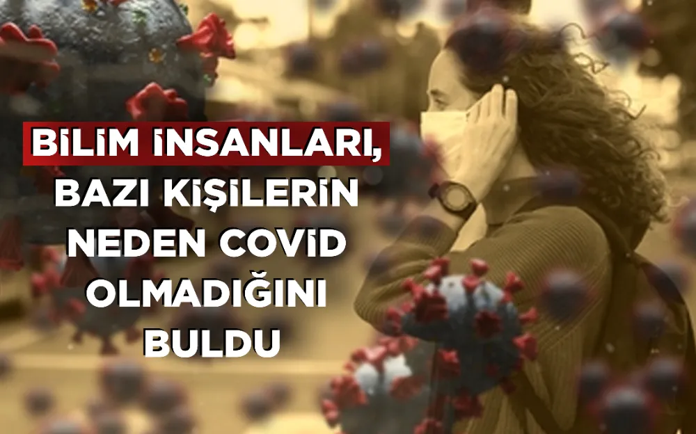 BİLİM İNSANLARI, BAZI KİŞİLERİN NEDEN COVİD OLMADIĞINI BULDU