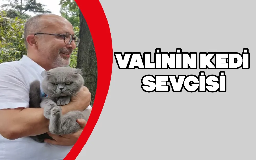 VALİNİN KEDİ SEVGİSİ