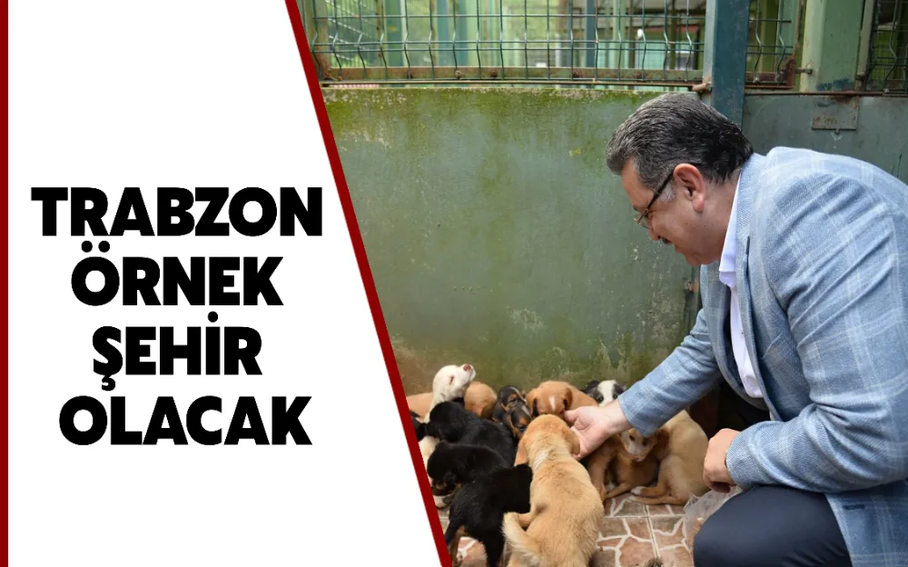 TRABZON ÖRNEK ŞEHİR OLACAK