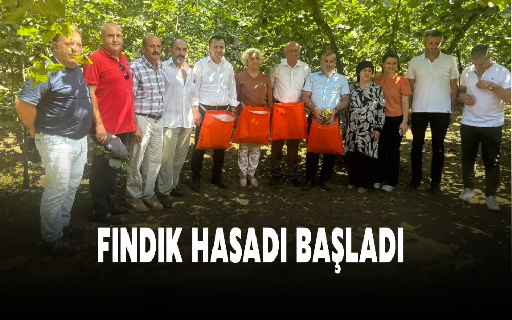 FINDIK HASADI BAŞLADI 