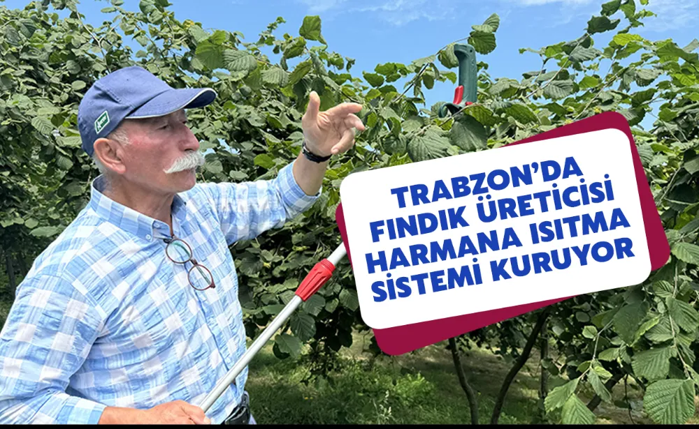 Fındık üreticisi, harmana yerden ısıtma sistemi kurmak için kolları sıvadı