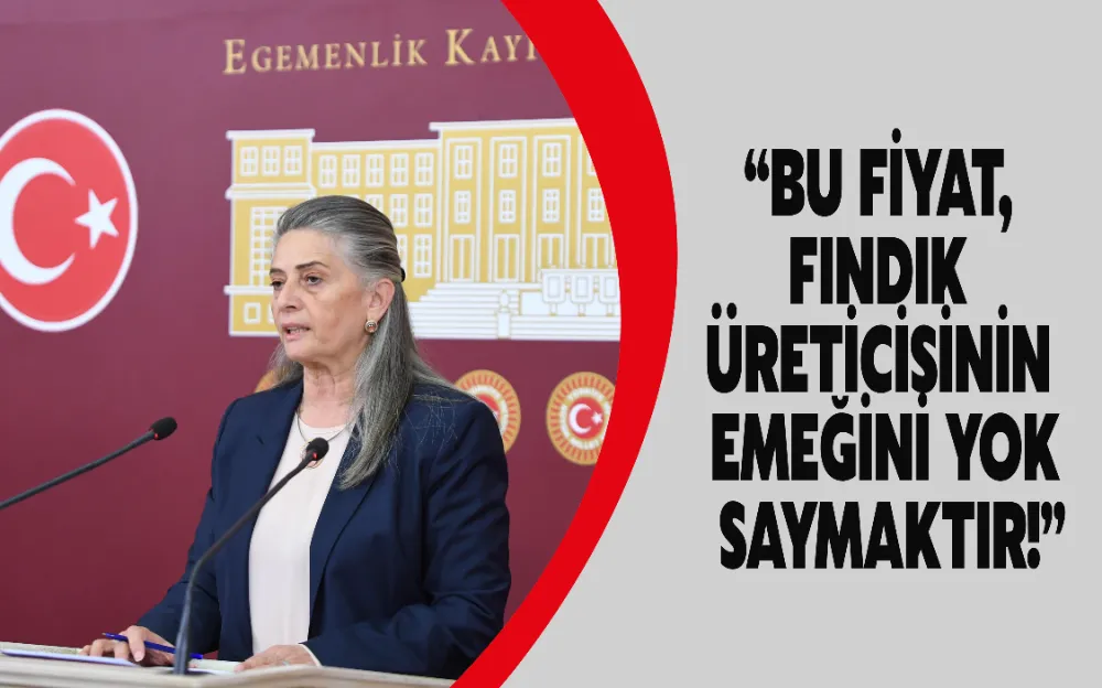 CHP TRABZON MİLLETVEKİLİ SUİÇMEZ; “BU FİYAT, FINDIK ÜRETİCİSİNİN EMEĞİNİ YOK SAYMAKTIR!”