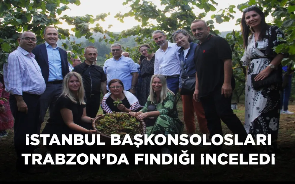 İstanbul Başkonsolosları Trabzon’da fındığı inceledi