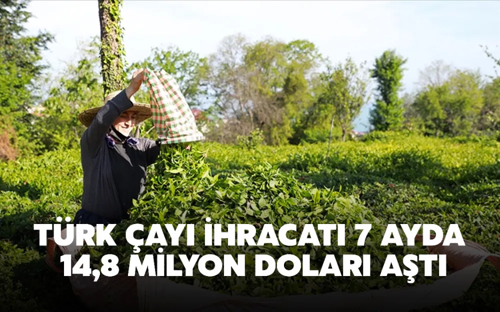 TÜRK ÇAYI İHRACATI 7 AYDA 14,8 MİLYON DOLARI AŞTI