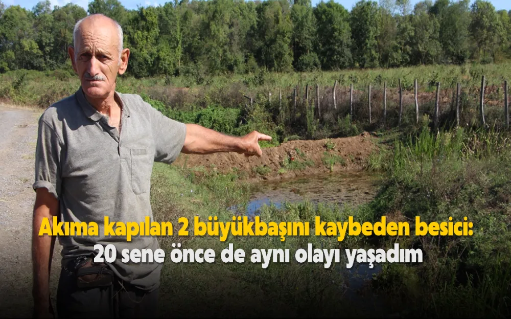 Akıma kapılan 2 büyükbaşını kaybeden besici: 20 sene önce de aynı olayı yaşadım