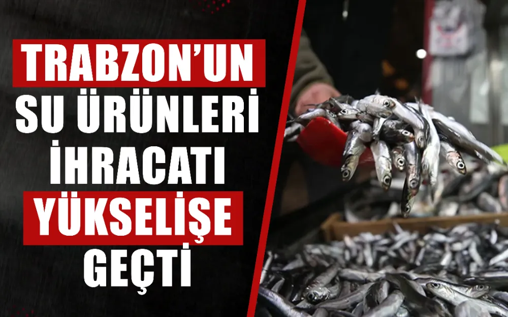  Trabzon’un  Su Ürünleri  İhracatı  Yükselişe  Geçti